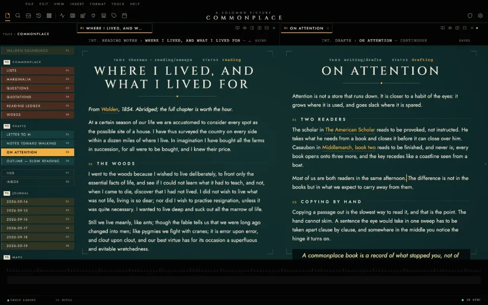 Solomon in the Cinema theme: a long essay beside the draft it feeds, in two split panes.