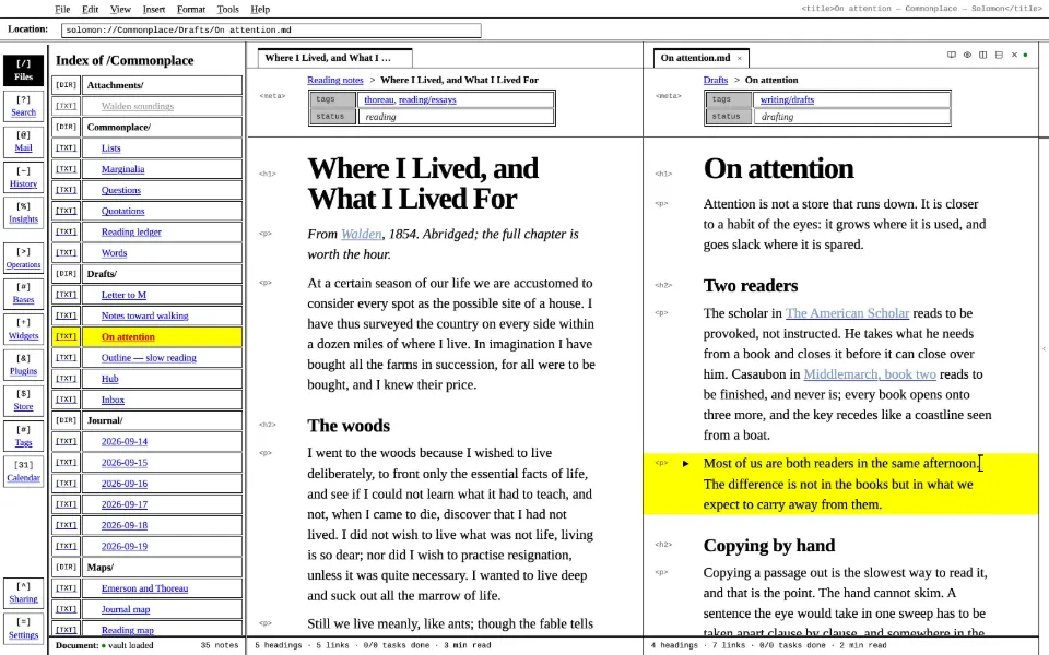 Solomon in the Raw HTML theme: a long essay beside the draft it feeds, in two split panes.