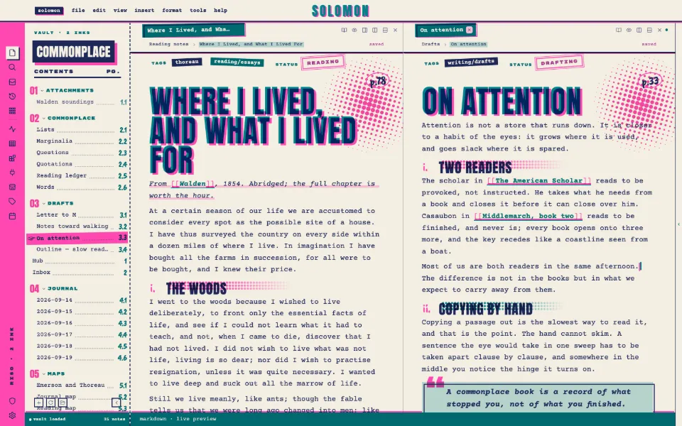 Solomon in the Risograph Zine theme: a long essay beside the draft it feeds, in two split panes.
